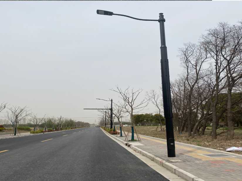 绥棱县上海综合杆 太阳能路灯工程